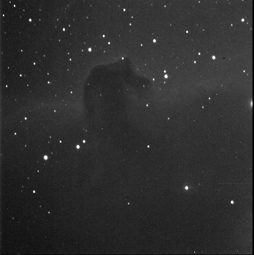 Horsehead Nebula by Darryl Colón